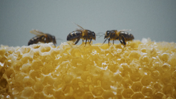 Mario Lorente video by Patterned