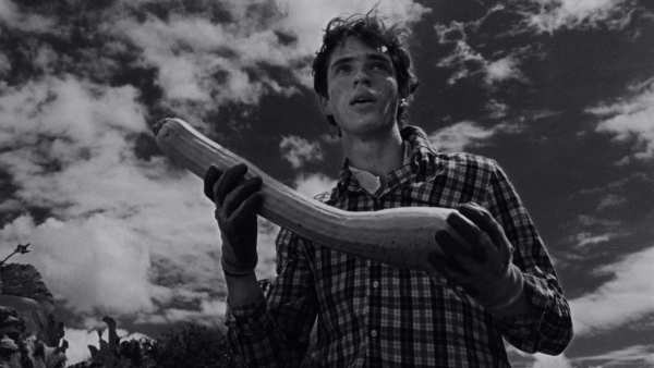 Oscar Mirzayev video by Patterned